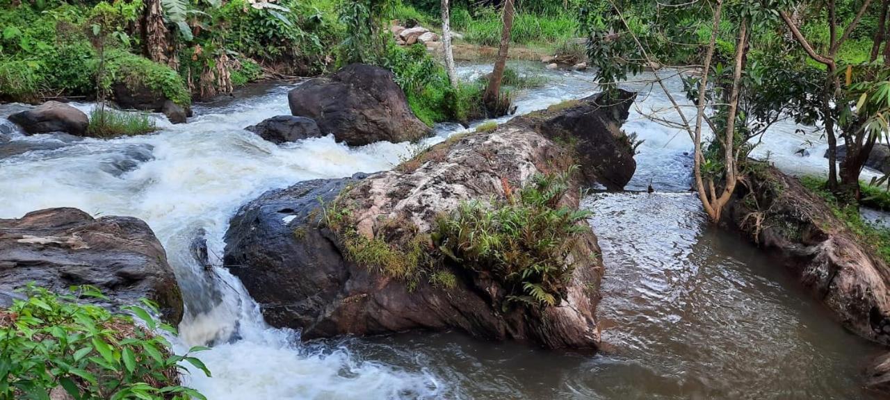 Linn View Home Stay Munnar Δωμάτιο φωτογραφία