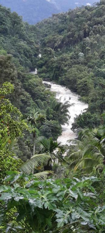 Linn View Home Stay Munnar Εξωτερικό φωτογραφία